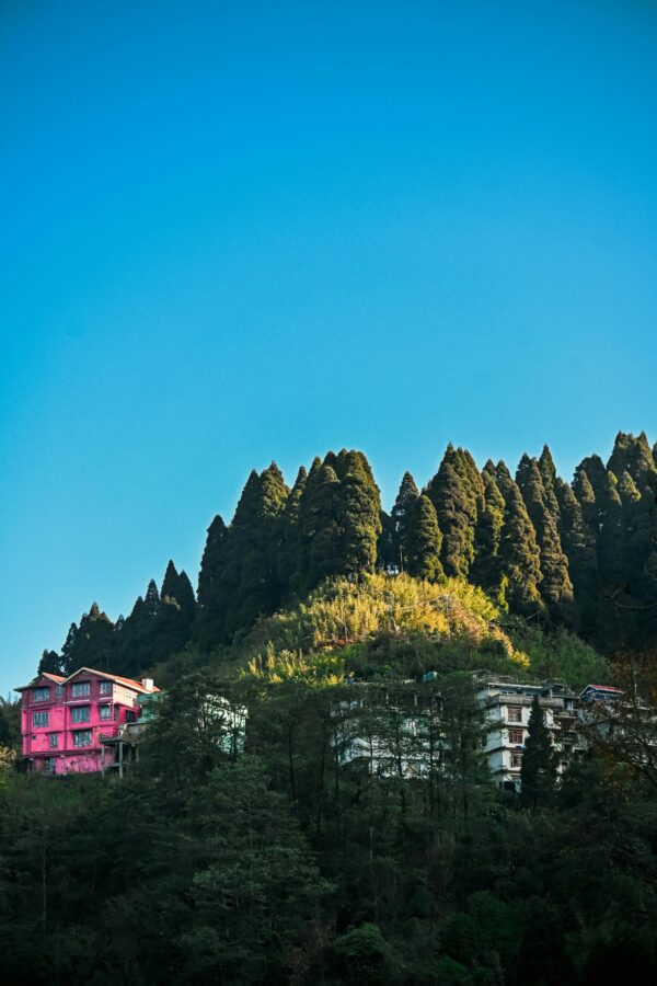 Darjeeling Image of Legendary Traveller Travel Agency