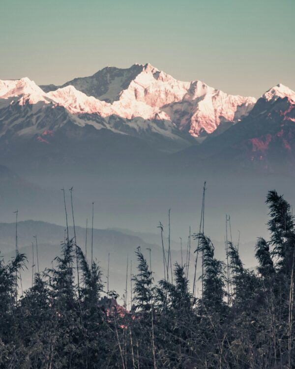 Darjeeling Tour Package Image of Legendary Traveller Travel Agency