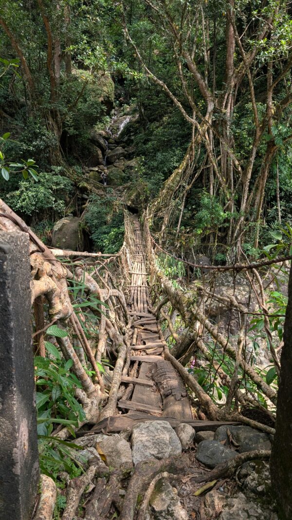 Mesmerizing Meghalaya Package – 5 Days / 4 Nights - Image 4